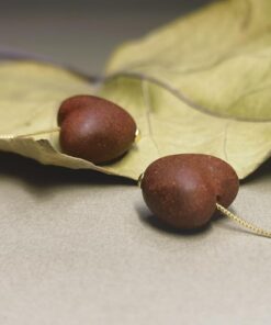 Rose Incense Heart Earrings Display